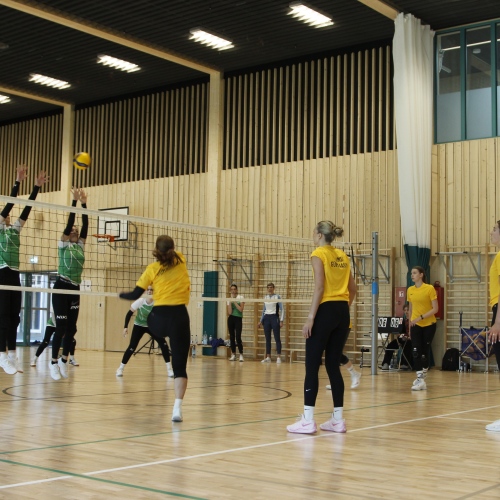 pallimängufestival_võrkpall