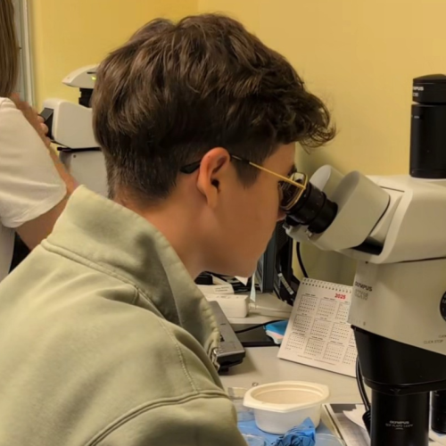 Mikroskoobiga vaatlemine laboris_allikas TalTech