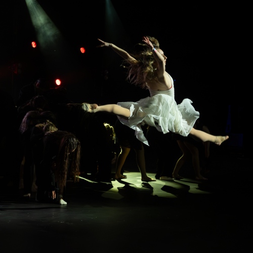 G3 & G1 Pallas - Erle Arus