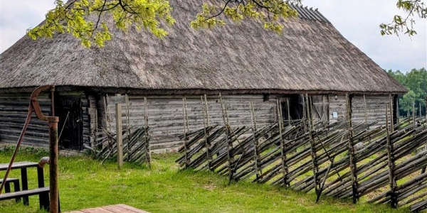 Vargamäe
